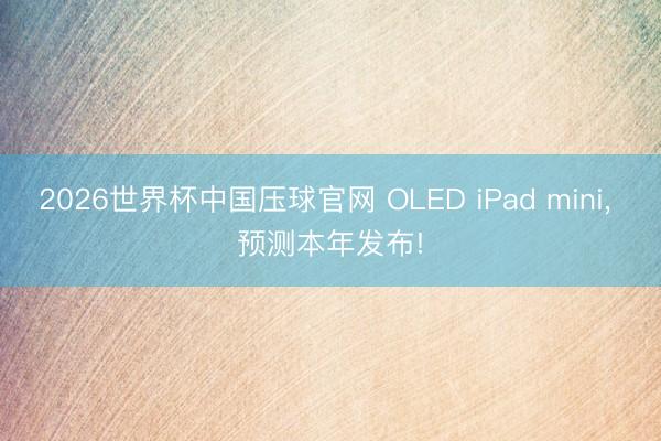 2026世界杯中国压球官网 OLED iPad mini, 预测本年发布!
