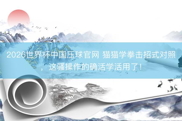 2026世界杯中国压球官网 猫猫学拳击招式对照，这骚操作的确活学活用了！
