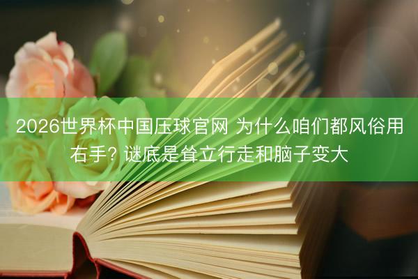 2026世界杯中国压球官网 为什么咱们都风俗用右手? 谜底是耸立行走和脑子变大