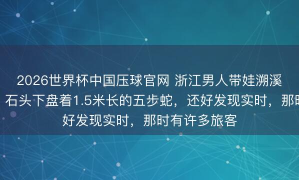 2026世界杯中国压球官网 浙江男人带娃溯溪遇惊魂一幕：石头下盘着1.5米长的五步蛇，还好发现实时，那时有许多旅客