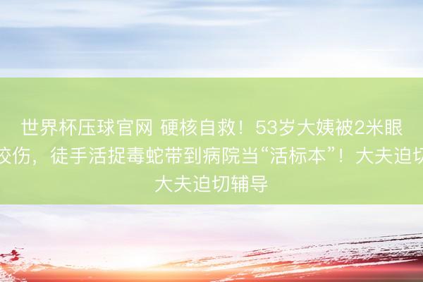 世界杯压球官网 硬核自救！53岁大姨被2米眼镜蛇咬伤，徒手活捉毒蛇带到病院当“活标本”！大夫迫切辅导