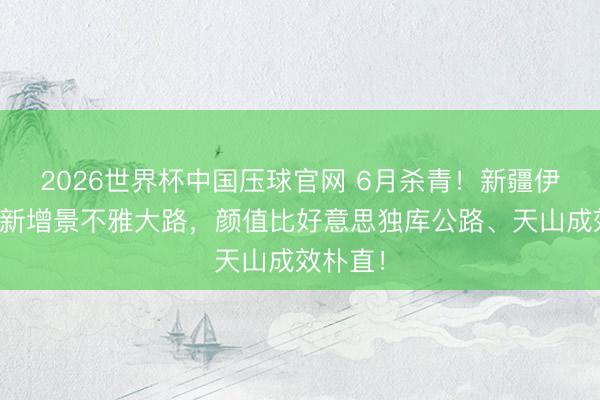 2026世界杯中国压球官网 6月杀青！新疆伊犁天山新增景不雅大路，颜值比好意思独库公路、天山成效朴直！