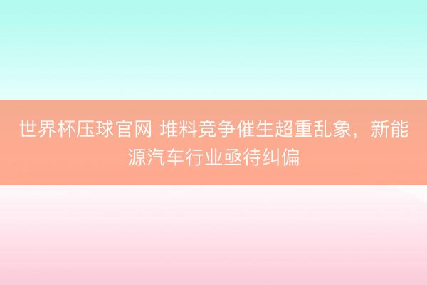 世界杯压球官网 堆料竞争催生超重乱象，新能源汽车行业亟待纠偏