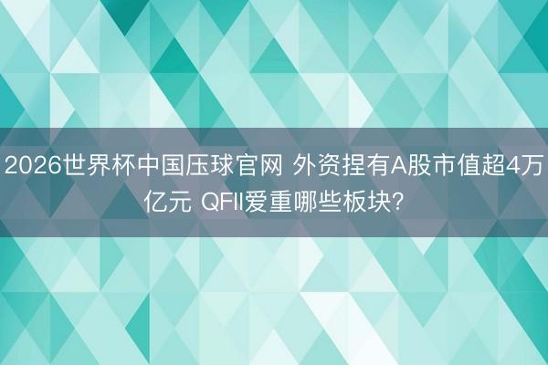 2026世界杯中国压球官网 外资捏有A股市值超4万亿元 QFII爱重哪些板块？