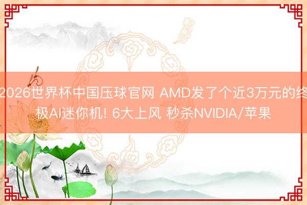 2026世界杯中国压球官网 AMD发了个近3万元的终极AI迷你机! 6大上风 秒杀NVIDIA/苹果