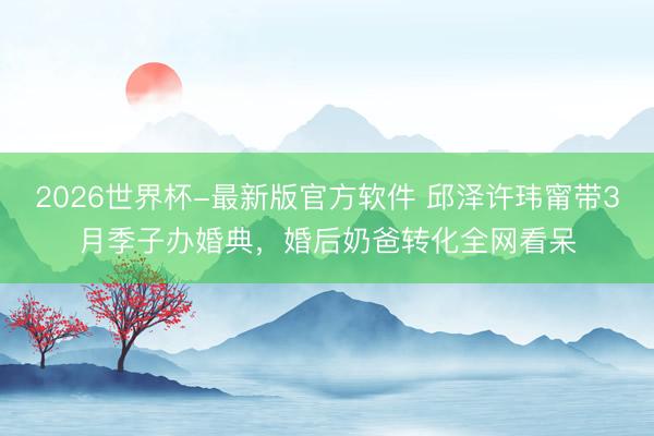 2026世界杯-最新版官方软件 邱泽许玮甯带3月季子办婚典,婚后奶爸转化全网看呆